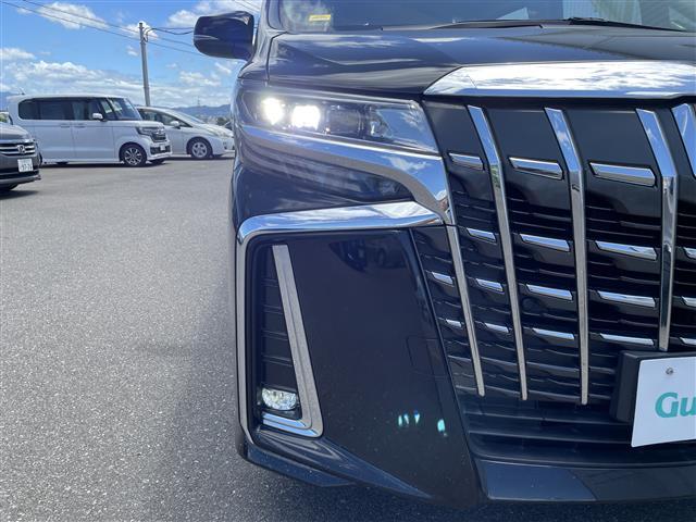 アルファード 2.5S Cパッケージ ◇ツインムーンルーフ◇黒革シート◇純正10インチSDナビ・フルセグTV/CD/DVD/SD/USB/Bluetooth◇純正12.1インチフリップダウンモニター◇バックカメラ◇ETC(22枚目)