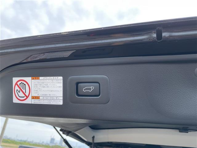 アルファード 2.5S Cパッケージ 純正ナビ バックカメラ ツインムーンルーフ フリップダウンモニター デジタルインナーミラー 100V電源両側パワースライドドア パワーバックドア ベンチレーション ハンドルヒーター ETC2.0(13枚目)