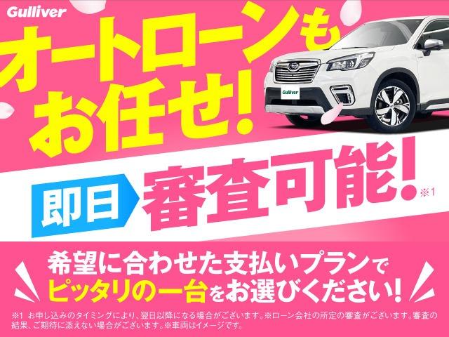 ライダー　禁煙　純正ナビ　両側電動パワースライドドア　アラウンドビューモニター　クルーズコントロール　エマージェンシーブレーキ　ステアリングスイッチ　ＥＴＣ　ドラレコ　踏み間違い防止アシスト　車線逸脱警報(63枚目)