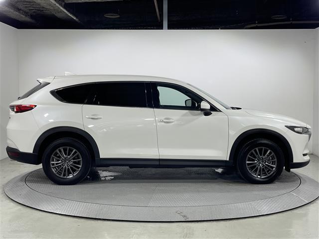 ＣＸ－８ ＸＤ　純正ナビ　バックカメラ　衝突軽減ブレーキ　レーダークルーズ　車線逸脱警報　オートハイビーム　誤発進抑制機能　ブラインドスポットモニター　コーナーセンサー　ＬＥＤヘッドランプ　純正１７インチＡＷ　ＥＴＣ（24枚目）