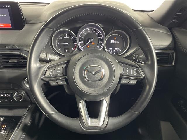 ＣＸ－８ ＸＤ　純正ナビ　バックカメラ　衝突軽減ブレーキ　レーダークルーズ　車線逸脱警報　オートハイビーム　誤発進抑制機能　ブラインドスポットモニター　コーナーセンサー　ＬＥＤヘッドランプ　純正１７インチＡＷ　ＥＴＣ（42枚目）