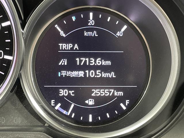 ＣＸ－８ ＸＤ　純正ナビ　バックカメラ　衝突軽減ブレーキ　レーダークルーズ　車線逸脱警報　オートハイビーム　誤発進抑制機能　ブラインドスポットモニター　コーナーセンサー　ＬＥＤヘッドランプ　純正１７インチＡＷ　ＥＴＣ（50枚目）