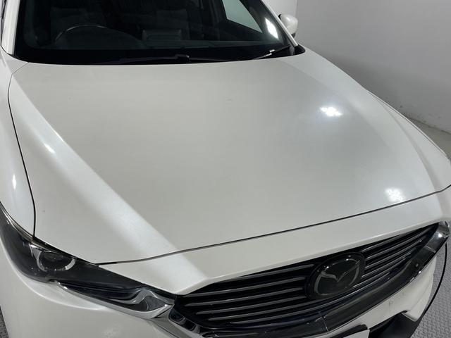ＣＸ－８ ＸＤ　純正ナビ　バックカメラ　衝突軽減ブレーキ　レーダークルーズ　車線逸脱警報　オートハイビーム　誤発進抑制機能　ブラインドスポットモニター　コーナーセンサー　ＬＥＤヘッドランプ　純正１７インチＡＷ　ＥＴＣ（59枚目）