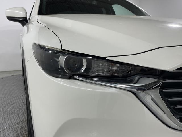 ＣＸ－８ ＸＤ　純正ナビ　バックカメラ　衝突軽減ブレーキ　レーダークルーズ　車線逸脱警報　オートハイビーム　誤発進抑制機能　ブラインドスポットモニター　コーナーセンサー　ＬＥＤヘッドランプ　純正１７インチＡＷ　ＥＴＣ（61枚目）