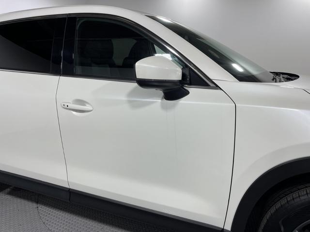 ＣＸ－８ ＸＤ　純正ナビ　バックカメラ　衝突軽減ブレーキ　レーダークルーズ　車線逸脱警報　オートハイビーム　誤発進抑制機能　ブラインドスポットモニター　コーナーセンサー　ＬＥＤヘッドランプ　純正１７インチＡＷ　ＥＴＣ（64枚目）