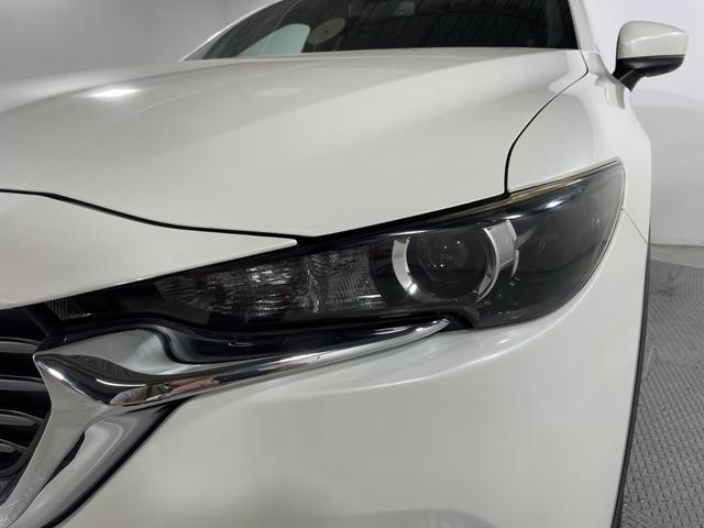 ＣＸ－８ ＸＤ　純正ナビ　バックカメラ　衝突軽減ブレーキ　レーダークルーズ　車線逸脱警報　オートハイビーム　誤発進抑制機能　ブラインドスポットモニター　コーナーセンサー　ＬＥＤヘッドランプ　純正１７インチＡＷ　ＥＴＣ（66枚目）