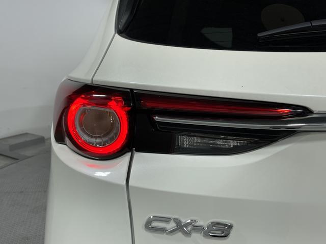 ＣＸ－８ ＸＤ　純正ナビ　バックカメラ　衝突軽減ブレーキ　レーダークルーズ　車線逸脱警報　オートハイビーム　誤発進抑制機能　ブラインドスポットモニター　コーナーセンサー　ＬＥＤヘッドランプ　純正１７インチＡＷ　ＥＴＣ（74枚目）