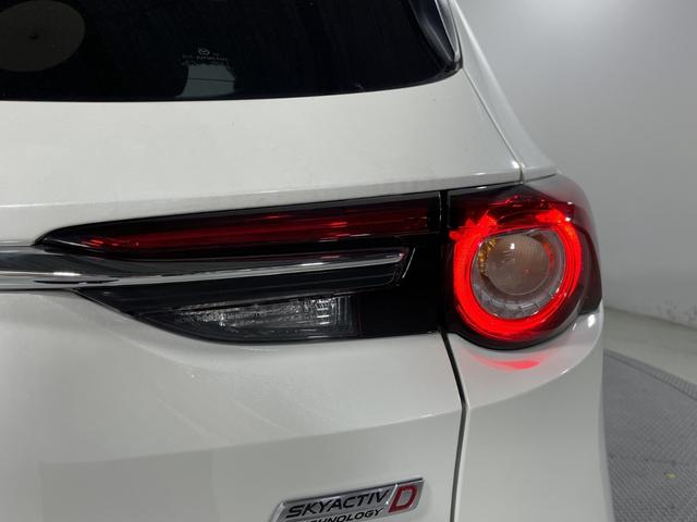 ＣＸ－８ ＸＤ　純正ナビ　バックカメラ　衝突軽減ブレーキ　レーダークルーズ　車線逸脱警報　オートハイビーム　誤発進抑制機能　ブラインドスポットモニター　コーナーセンサー　ＬＥＤヘッドランプ　純正１７インチＡＷ　ＥＴＣ（75枚目）