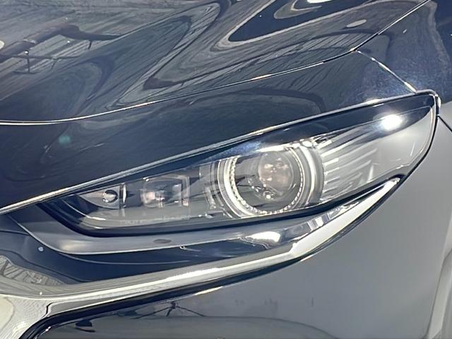 ���k���[���ɂ́u�L�b�Y�X�y�[�X�v���������Ă��܂��B�c�u�c�A�u���b�N�A�G�{�A���܂܂��ƃZ�b�g�B���q�l�A��ł��A�������Ƃ��Ԃ����I�т��������܂��I