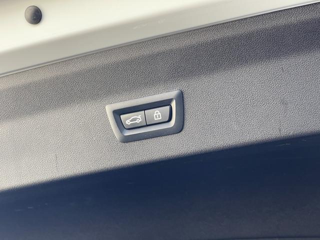 X4 xDrive 20d Mスポーツ ワンオーナー パノラマSR 黒革 ウッドトリム 純正ナビ フルセグ 全方位 BT PWシート シートH ETC ACC Aライト Aハイビーム フットオープナー Cセンサー LKA ブラインドスポット(46枚目)