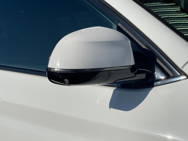 X4 xDrive 20d Mスポーツ ワンオーナー パノラマSR 黒革 ウッドトリム 純正ナビ フルセグ 全方位 BT PWシート シートH ETC ACC Aライト Aハイビーム フットオープナー Cセンサー LKA ブラインドスポット(56枚目)