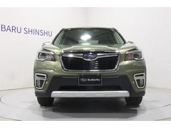 ե쥹 塡ţӣܼ 0508394A20250912B001 4