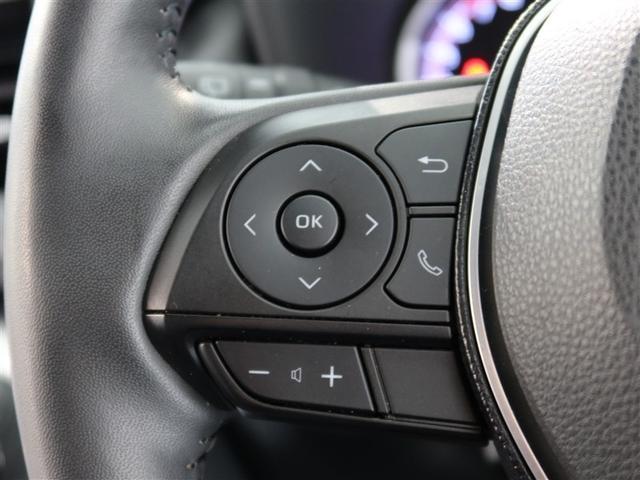 ＲＡＶ４ Ｇ（16枚目）