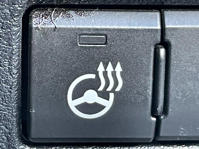 NX NX300h Fスポーツ サンルーフ 純正10.3インチナビ バックモニター フルセグTV Bluetooth/CD レクサスセーフティシステム+ プリクラッシュセーフティ レーントレーシングアシスト オートマチックハイビーム(22枚目)