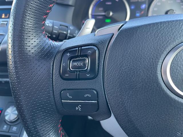 NX NX300h Fスポーツ サンルーフ 純正10.3インチナビ バックモニター フルセグTV Bluetooth/CD レクサスセーフティシステム+ プリクラッシュセーフティ レーントレーシングアシスト オートマチックハイビーム(50枚目)