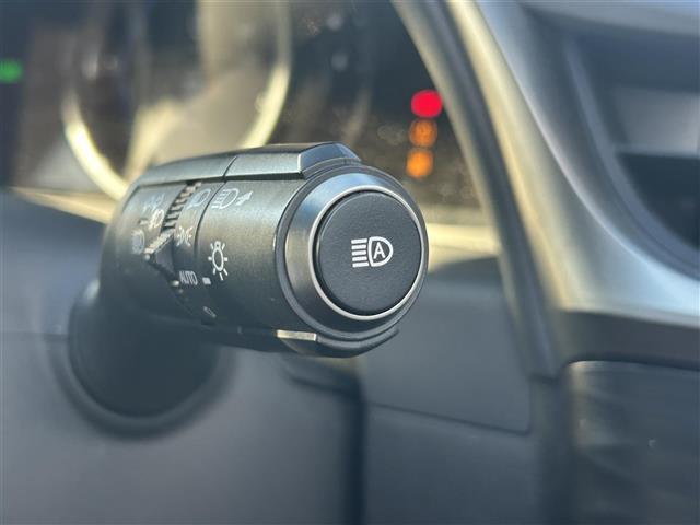 ES ES300h Fスポーツ 純正ナビ サンルーフ Bカメラ ETC2.0 BSM ドラレコ シートヒーター エアシート ステアリングヒーター クリアランスソナー 衝突軽減 横滑り防止装置 クルコン レーンキープアシスト 純正AW(12枚目)