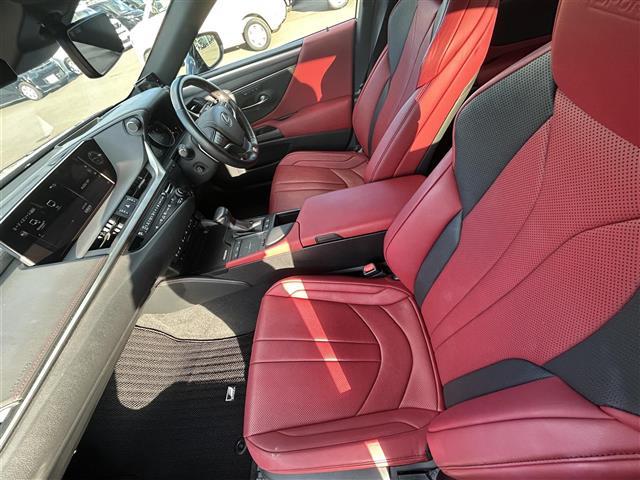 ES ES300h Fスポーツ 純正ナビ サンルーフ Bカメラ ETC2.0 BSM ドラレコ シートヒーター エアシート ステアリングヒーター クリアランスソナー 衝突軽減 横滑り防止装置 クルコン レーンキープアシスト 純正AW(33枚目)