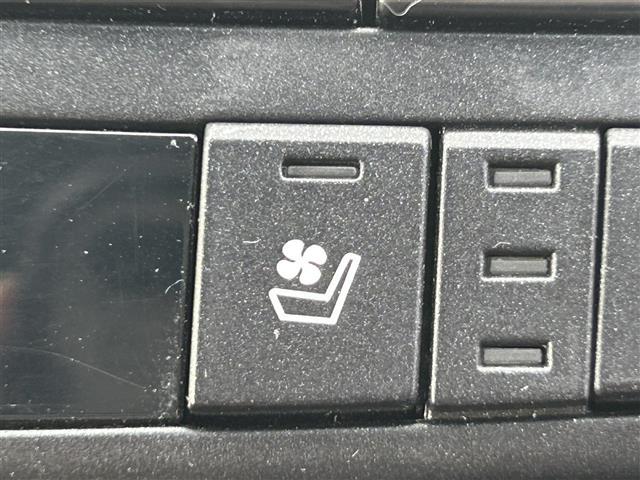 ＮＸ ＮＸ３００ｈ　Ｆスポーツ　登録時走行距離８７３２６ｋｍ　純正１０．３インチナビ（ＡＭ／ＦＭ／ＣＤ／ＤＶＤ／ＢＴ／ＴＶ）　バックカメラ　黒革シート　Ｄ／Ｎ席シートヒーター　Ｄ／Ｎ席ベンチレーション　Ｄ／Ｎ席パワーシート　ＢＳＭ（18枚目）