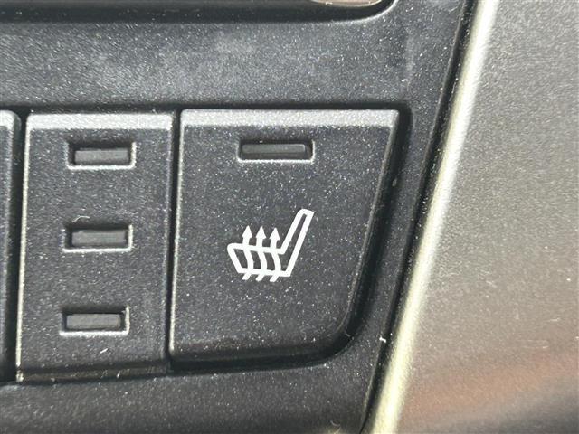 ＮＸ ＮＸ３００ｈ　Ｆスポーツ　登録時走行距離８７３２６ｋｍ　純正１０．３インチナビ（ＡＭ／ＦＭ／ＣＤ／ＤＶＤ／ＢＴ／ＴＶ）　バックカメラ　黒革シート　Ｄ／Ｎ席シートヒーター　Ｄ／Ｎ席ベンチレーション　Ｄ／Ｎ席パワーシート　ＢＳＭ（23枚目）