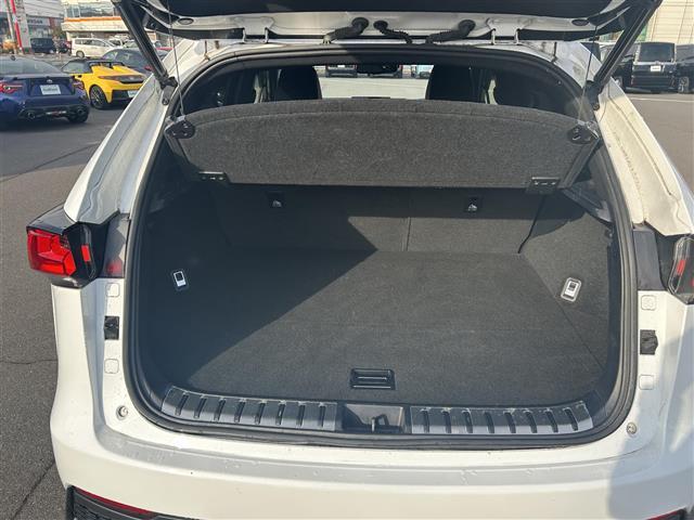 ＮＸ ＮＸ３００ｈ　Ｆスポーツ　登録時走行距離８７３２６ｋｍ　純正１０．３インチナビ（ＡＭ／ＦＭ／ＣＤ／ＤＶＤ／ＢＴ／ＴＶ）　バックカメラ　黒革シート　Ｄ／Ｎ席シートヒーター　Ｄ／Ｎ席ベンチレーション　Ｄ／Ｎ席パワーシート　ＢＳＭ（31枚目）