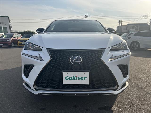 ＮＸ ＮＸ３００ｈ　Ｆスポーツ　登録時走行距離８７３２６ｋｍ　純正１０．３インチナビ（ＡＭ／ＦＭ／ＣＤ／ＤＶＤ／ＢＴ／ＴＶ）　バックカメラ　黒革シート　Ｄ／Ｎ席シートヒーター　Ｄ／Ｎ席ベンチレーション　Ｄ／Ｎ席パワーシート　ＢＳＭ（33枚目）