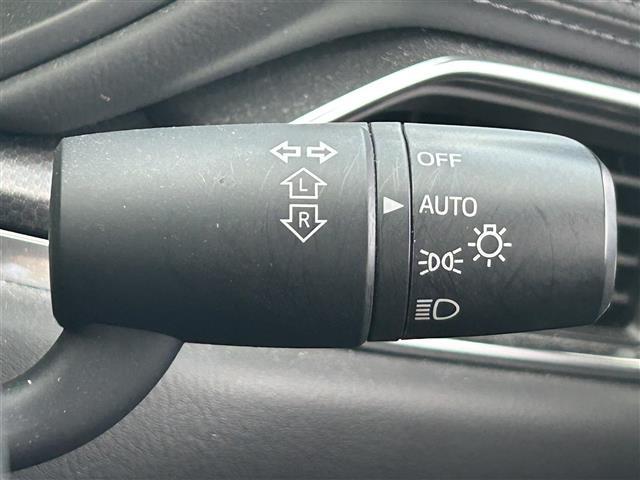 ＣＸ－５ ＸＤ　スポーツアピアランス　ＢＯＳＥサウンドシステム　登録時走行距離３３４５３ｋｍ　純正１０．２５インチナビ（ＡＭ／ＦＭ／ＣＤ／ＤＶＤ／ＢＴ／ＴＶ／ＣａｒＰｌａｙ）　全方位カメラ　パワーバックドア　Ｄ／Ｎ席シートヒーター　ＥＴＣ（17枚目）