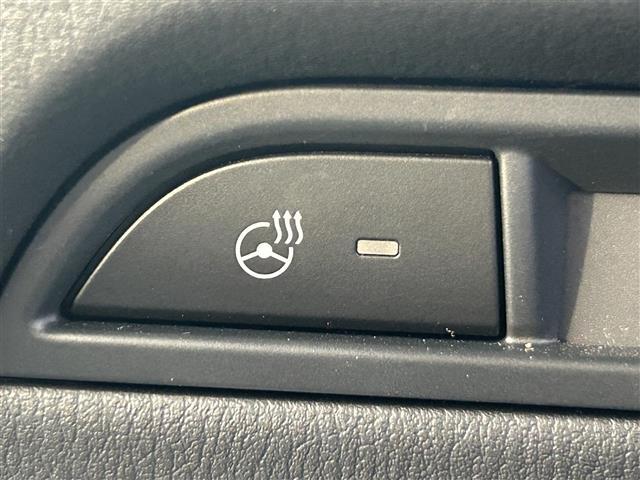 ＣＸ－５ ＸＤ　スポーツアピアランス　ＢＯＳＥサウンドシステム　登録時走行距離３３４５３ｋｍ　純正１０．２５インチナビ（ＡＭ／ＦＭ／ＣＤ／ＤＶＤ／ＢＴ／ＴＶ／ＣａｒＰｌａｙ）　全方位カメラ　パワーバックドア　Ｄ／Ｎ席シートヒーター　ＥＴＣ（21枚目）