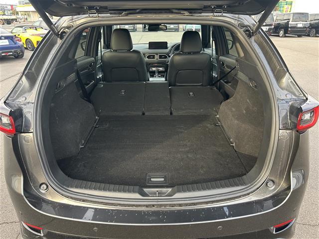 ＣＸ－５ ＸＤ　スポーツアピアランス　ＢＯＳＥサウンドシステム　登録時走行距離３３４５３ｋｍ　純正１０．２５インチナビ（ＡＭ／ＦＭ／ＣＤ／ＤＶＤ／ＢＴ／ＴＶ／ＣａｒＰｌａｙ）　全方位カメラ　パワーバックドア　Ｄ／Ｎ席シートヒーター　ＥＴＣ（29枚目）
