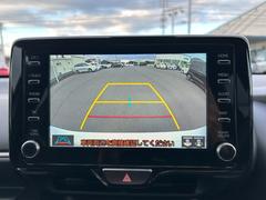 ڥХå˥۸Υα˥˱ǤФΤǡθʤѤ䡢㳲ʪȤεΥʤɤ⤷äǧ뤳ȤǤޤ 5