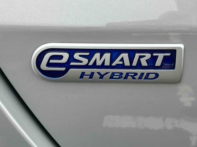 ロッキー プレミアムG HEV ハイブリッド 9型ナビ/TV/DVD/BT/USB Bカメラ 前後ドラレコ ETC 全車速追従クルコン ADB LEDヘッドライト オートライト 前後コーナーセンサー シートヒーター リヤフォグランプ(33枚目)