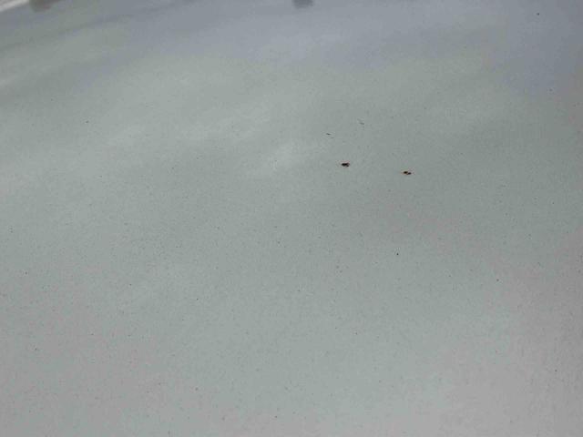 キャスト スタイルG SAII ナビ/TV/DVD/BT/USB Bカメラ ETC LEDヘッドライト オートライト スマアシ オートエアコン 革巻きステアリング ステリモ キーフリー プッシュスタート アルミホイール 盗難防止警報(25枚目)