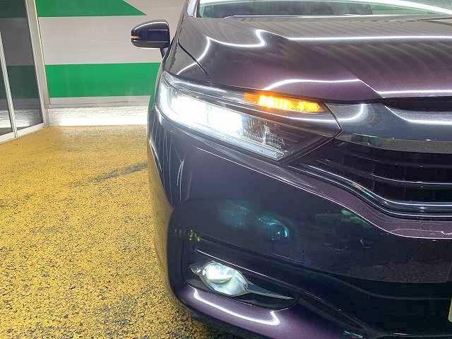 ���邢�k�d�c�w�b�h���C�g�ƃt�H�O���t���Ė�ԑ��s�����S�ł��I