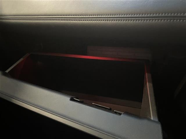 デリカD:5 アーバンギア G パワーパッケージ 前後ドラレコ 助手席側電動ステップ 左右パワスラ 全方位カメラ スマートキー LEDライト 運転席パワーシート ブラインドスポットアシスト フロアマット(10枚目)