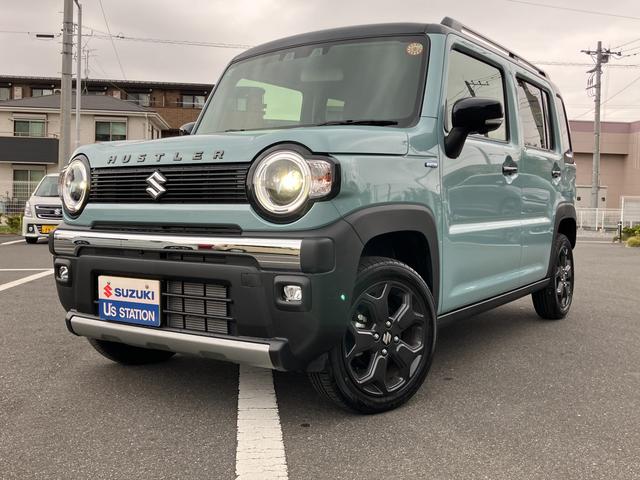 ハスラー タフワイルドターボ　３型（29枚目）