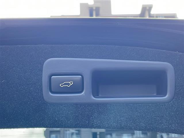 ハリアー プレミアム　／寒冷地仕様／９型アルパインナビ／Ｂｌｕｅｔｏｏｔｈ／ビルドインＥＴＣ／バックカメラ／パワーバックドア／社外エンジンスターター／クルコン／ステアリングスイッチ／純正フロアマット／プッシュスタート（11枚目）