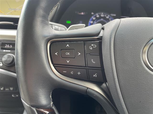 ＥＳ ＥＳ３００ｈ　禁煙車／純正ナビ（ＣＤ／フルセグＴＶ／Ｂｌｕｅｔｏｏｔｈ）／バックカメラ／サンルーフ／ビルトインＥＴＣ２．０／前席シートヒーター／前席ベンチレーション／前席パワーシート（運転席メモリー機能付）（8枚目）