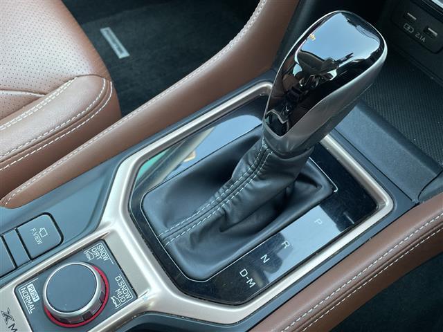 フォレスター アドバンス　禁煙車／純正ナビ／バックカメラ／レザーシート／前席パワーシート／全席シートヒーター／ステアリングヒーター／電動リアゲート／アイサイト／純正１８インチＡＷ／デジタルインナーミラー／ルーフレール／ＢＴ（34枚目）