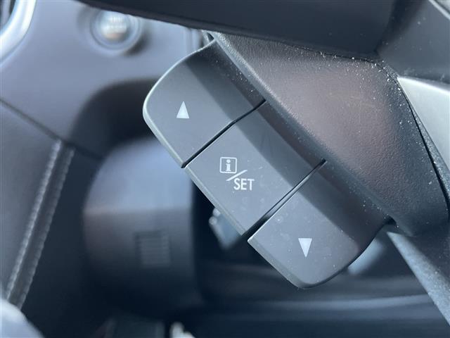 フォレスター アドバンス　禁煙車／純正ナビ／バックカメラ／レザーシート／前席パワーシート／全席シートヒーター／ステアリングヒーター／電動リアゲート／アイサイト／純正１８インチＡＷ／デジタルインナーミラー／ルーフレール／ＢＴ（35枚目）