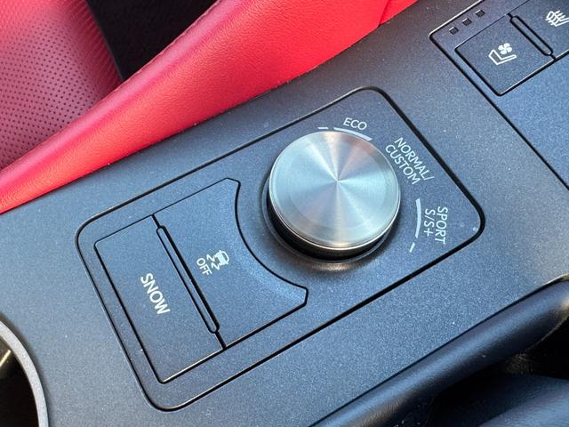 RC RC350 Fスポーツ ワンオーナー オレンジブレーキキャリパー セーフティシステムプラス 純正メモリーナビ バックカメラ 革スポーツシート シートヒーター パワーシート エアシート LEDヘッドランプ ビルトインETC(32枚目)