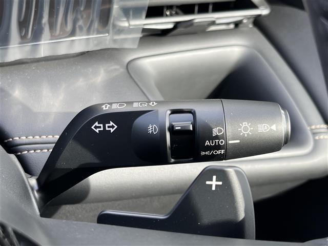 セレナ ハイウェイスターV Vセレクション 純正ナビ(フルセグ/BT/CD/DVD)/フリップダウン/レーダークルーズコントロール/プロパイロット/全方位/パドルシフト/BSM/コーナーセンサー/衝突軽減/両側パワスラ/後席サンシェード(11枚目)