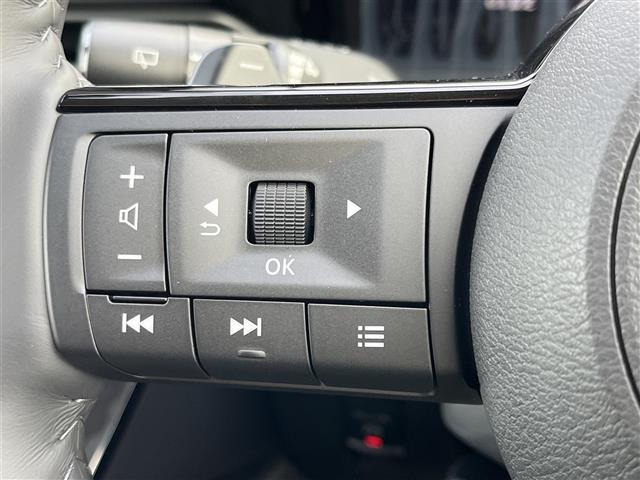 セレナ ハイウェイスターV Vセレクション 純正ナビ(フルセグ/BT/CD/DVD)/フリップダウン/レーダークルーズコントロール/プロパイロット/全方位/パドルシフト/BSM/コーナーセンサー/衝突軽減/両側パワスラ/後席サンシェード(24枚目)