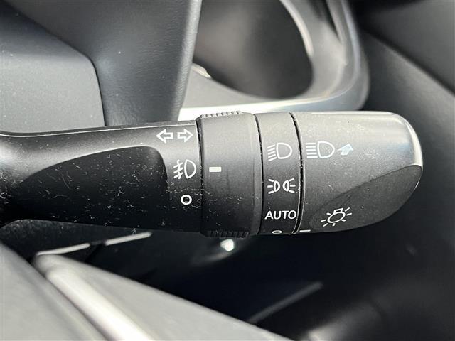 アルファード ２．５Ｓ　Ｃパッケージ　純正ディスプレイオーディオ（ＴＶ／ＢＴ／ＣＤ／ＤＶＤ）／フリップダウン／サンルーフ／レーダークルーズコントロール／バックカメラ／両側パワスラ／電動リア／レザーシート／パワーシート／シートヒーター（26枚目）