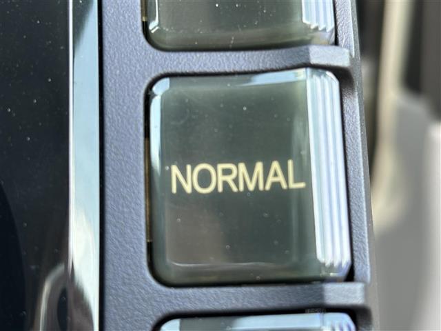 ＣＲ－Ｚ α　純正ホンダインターナビ　バックカメラ　地デジ　黒革調シートカバー　ビルトインＥＴＣ　パドルシフト　クルーズコントロール　スペアキー　フォグライト　革巻きステアリング　電動格納ミラー　ＳＰＯＲＴモード（10枚目）