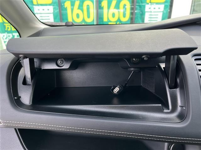 セレナ ハイウェイスターＧ　純正９インチナビ（フルセグ／ＢＴ／ＣＤ／ＤＶＤ）／フリップダウン／プロパイロット／全方位／コーナーセンサー／衝突軽減／レーンキープ／パーキングアシスト／両側パワスラ／後席サンシェード（29枚目）