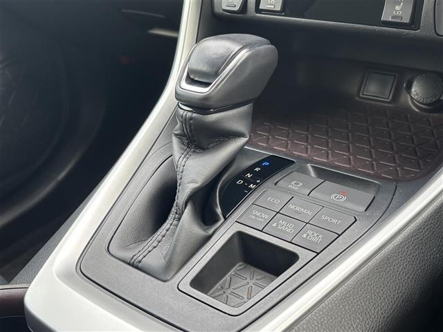 ＲＡＶ４ Ｇ　純正９インチナビ（フルセグ／ＢＴ／ＣＤ／ＤＶＤ）／レーダークルーズコントロール／バックカメラ／ＢＳＭ／コーナーセンサー／衝突軽減／電動リア／レザーシート／メモリ付きパワーシート／ステアリングヒーター（10枚目）