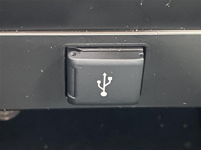 アルファード 2.5S タイプゴールド 純正9型ディスプレイオーディオ 純正12.1型フリップダウンモニター パワーバックドア AC100V コンビステアリング ハーフレザーシート 2列目オットマン コーナーセンサー フォグライト ETC(26枚目)