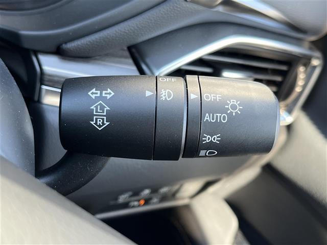 ＣＸ－５ ＸＤ　Ｌパッケージ　社外ナビ（フルセグ／ＢＴ／ＣＤ／ＤＶＤ）／ＢＯＳＥ／レーダークルーズコントロール／バックカメラ／コーナーセンサー／ＢＳＭ／衝突軽減／レーンキープ／レザーシート／電動リア／メモリーシート／シートヒーター（13枚目）