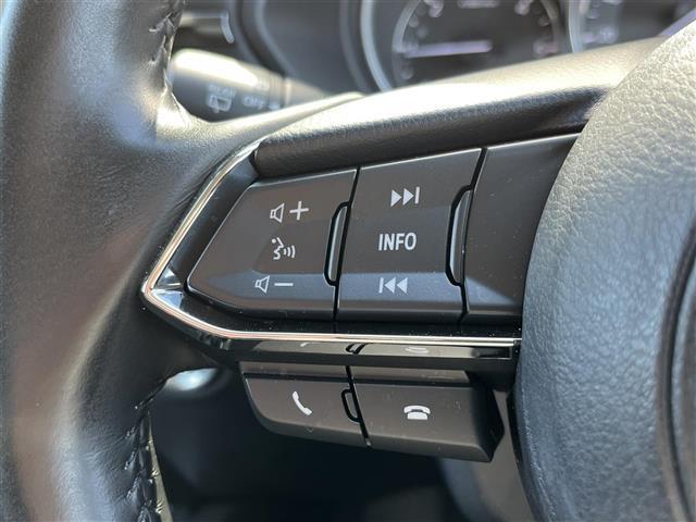 ＣＸ－５ ＸＤ　Ｌパッケージ　社外ナビ（フルセグ／ＢＴ／ＣＤ／ＤＶＤ）／ＢＯＳＥ／レーダークルーズコントロール／バックカメラ／コーナーセンサー／ＢＳＭ／衝突軽減／レーンキープ／レザーシート／電動リア／メモリーシート／シートヒーター（24枚目）