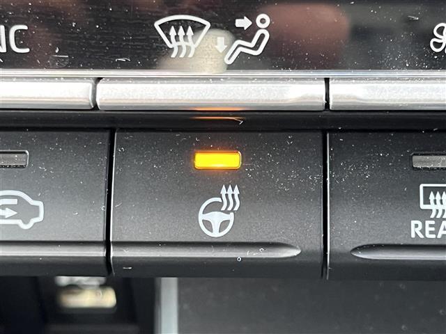 ヴォクシー S-Z 純正10.5インチディスプレイオーディオ(TV/BT)/純正フリップダウン/レーダークルーズコントロール/バックカメラ/BSM/両側パワスラ/電動リア/ハーフレザー/シートヒーター/後席サンシェード(9枚目)