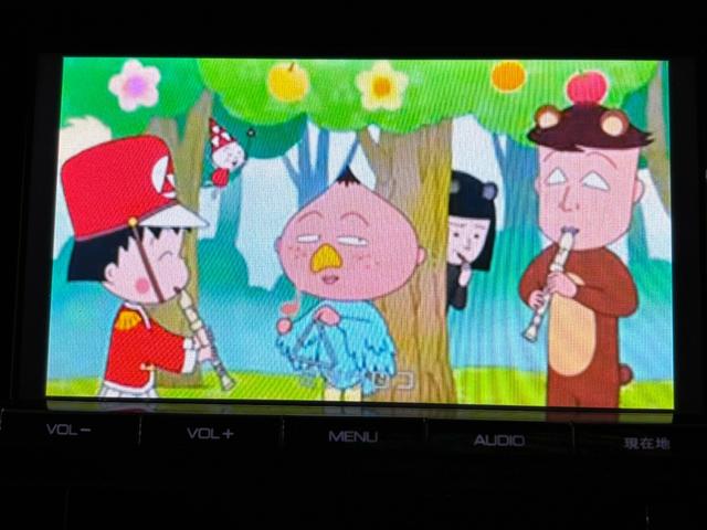 アルファード ２．５Ｇ　ワンオーナー　ドライブレコーダー　バックカメラ　ナビ　ＴＶ　クリアランスソナー　オートクルーズコントロール　両側電動スライドドア　ＬＥＤヘッドランプ　サンルーフ　電動リアゲート　スマートキー（6枚目）